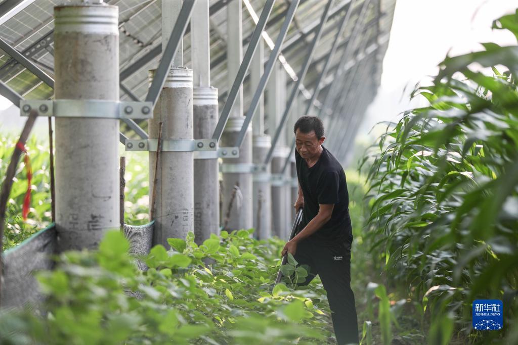 斗转星移转运金